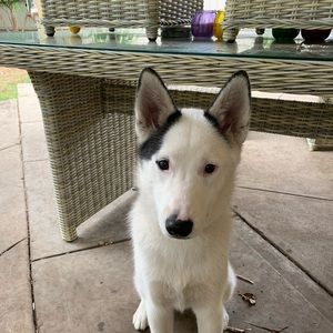 Meet your Posher, Maria